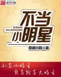 《不当小明星》封面