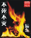 《不死不灭》封面