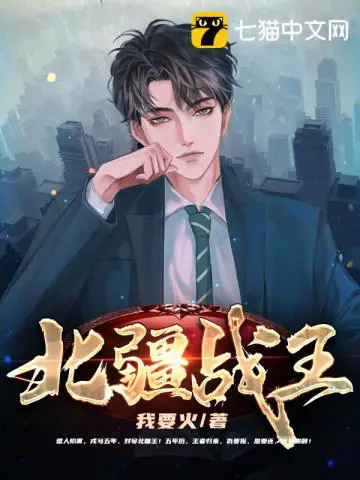 《北疆战王》封面