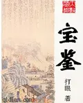《宝鉴》封面