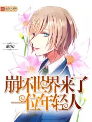 《崩坏世界来了一位年轻人》封面