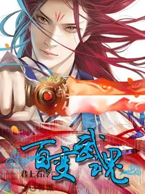 《百变武魂》封面