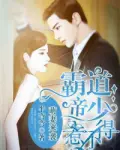 《霸道帝少请节制》封面