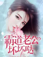 《霸道老公坏坏哒》封面