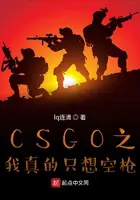《CSGO之我真的只想空枪》封面