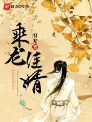 《乘龙佳婿》封面