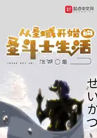 《从圣域开始的圣斗士生活》封面