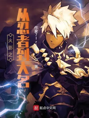 《从忍者到大名》封面