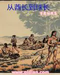 《从酋长到球长》封面