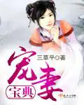 《宠妻宝典》封面