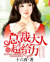 《宠妻计划：总裁大人超给力》封面