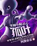 《宠物小精灵之孤叶》封面