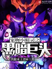 《宠物小精灵之黑暗巨头》封面