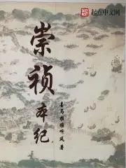 《崇祯本纪》封面