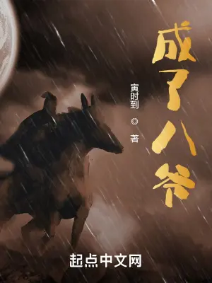 《成了八爷》封面