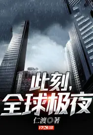 《此刻，全球极夜》封面