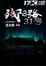 《残阳路31号》封面