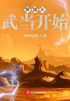 《穿越从武当开始》封面