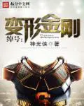 《绰号：变形金刚》封面