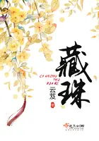 《藏珠》封面