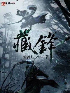 《藏锋》封面