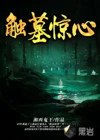 《触墓惊心》封面