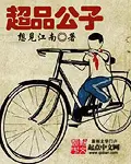 《超品公子》封面