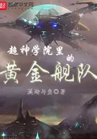 《超神学院里的黄金舰队》封面