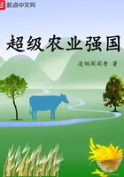《超级农业强国》封面