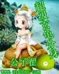 《超级玄龟分身》封面