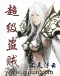 《超级盗贼》封面