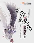 《东鸦杂货店》封面