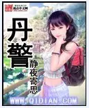 《丹警》封面