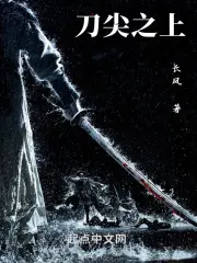 《刀尖之上》封面