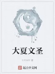 《大夏文圣》封面