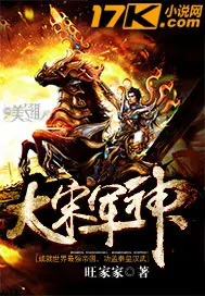 《大宋军神》封面