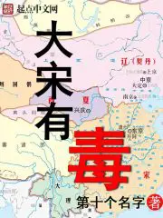 《大宋有毒》封面
