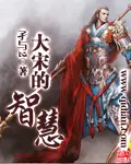 《大宋的智慧》封面