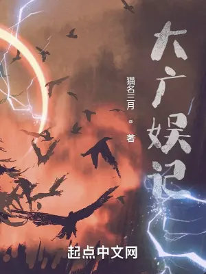 《大广娱记》封面
