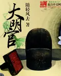 《大明官》封面