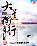 《大道独行》封面