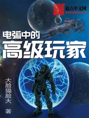 《电弧中的高级玩家》封面