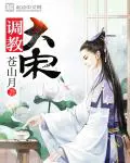 《调教大宋》封面