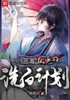 《恶毒反派的洗白计划》封面