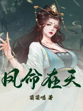 《凤命在天》封面