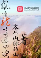 《凤鸣龙吟连山决》封面