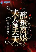《夫人她天天都想离婚》封面