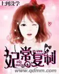 《妃常复制》封面