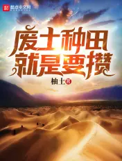 《废土种田就是要攒》封面