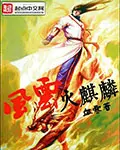 《风云火麒麟》封面